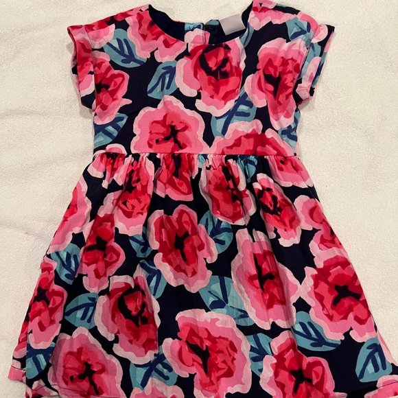 Gymboree Rosy Bloom dress - size 3T - Picture 1 of 2